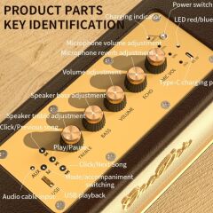 Oneder D8 Wireless Retro Dual Microphone Bluetooth Speaker Kahverengi Kahverengi